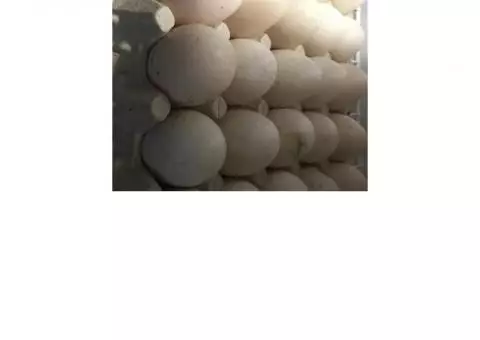 Farm Fresh Duck Eggs $6.00 per dozen